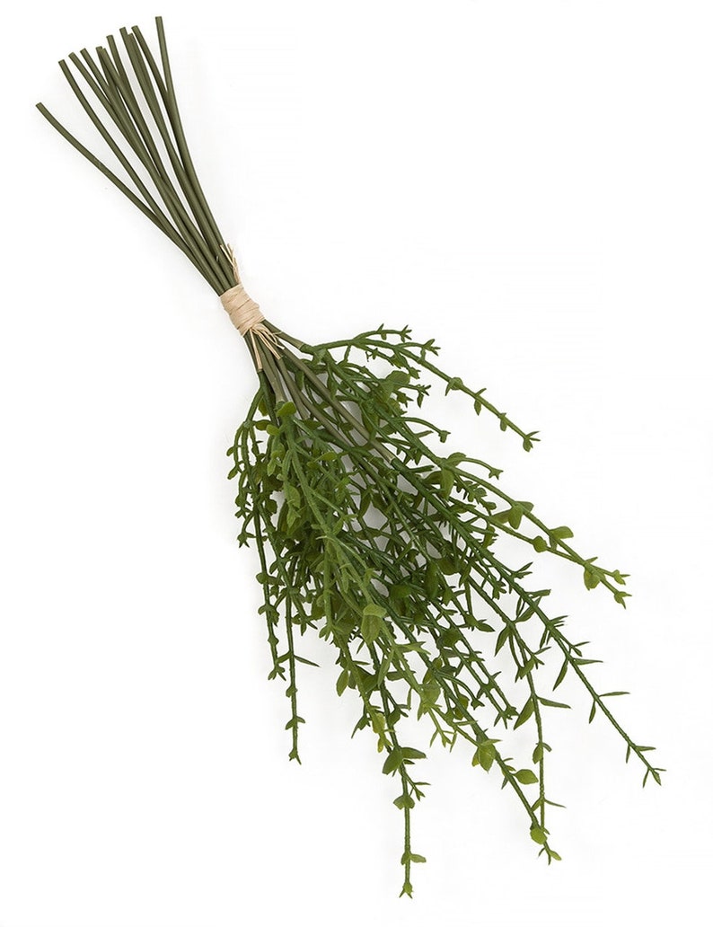 Puede incluir: Un manojo de tallos de vegetaci&oacute;n artificial verde atados con cuerda. Los tallos son largos y delgados con peque&ntilde;as hojas verdes.
