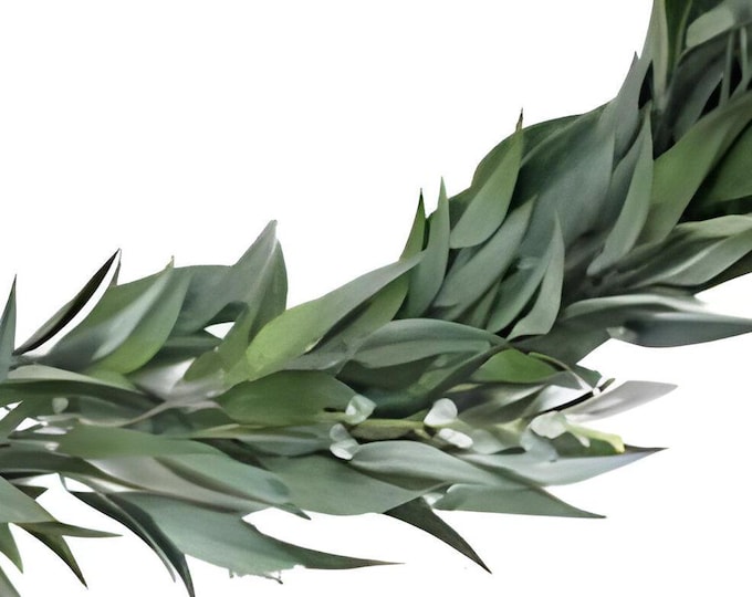 6 FT Eucalyptus Garland, Greenery Garland, Mantel Garland, Wedding Garland, Floral Supply