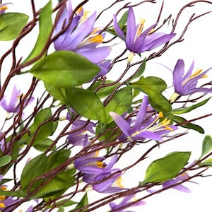 Wildflowers, Summer Flowers, Purple Flower Spray on Stem