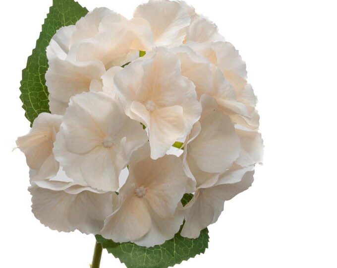 14" Champagne Hydrangea Flower on Stem, Real Touch Flowers, Artificial Flower, Vase Filler, Floral Supply