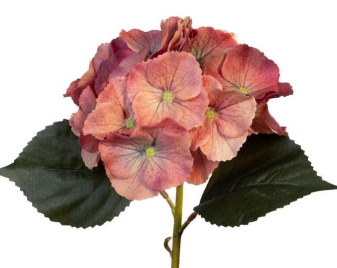 14" Terra Cotta Hydrangea Flower on Stem, Real Touch Flowers, Artificial Flower, Vase Filler, Floral Supply