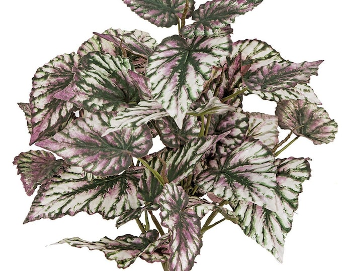 16" Faux Wax Begonia Bush, Real Touch Greenery
