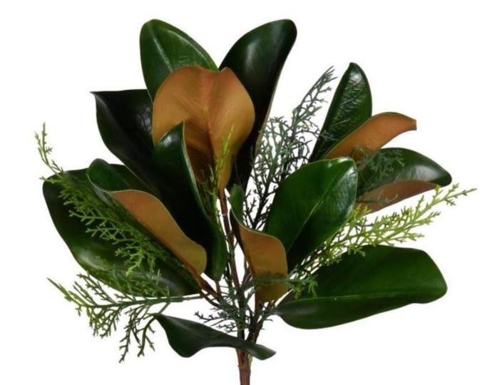 16" Magnolia Leaf Stems, Christmas Stems, Evergreen Holiday Winter Greenery for Christmas Decor, Floral Arrangements Centerpieces Wreaths