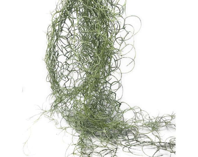 42" Large Artificial Spanish Moss Hanging Bush in Green/Gray-Tillandsia-Faux Air Plant-Everyday Greenery-Artificial Foliage-Floral Supply
