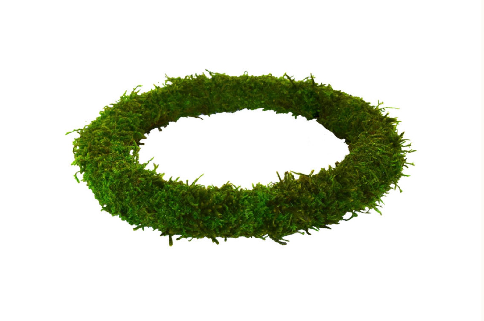 Moss Wreath Ringwreath Basewreath Formnatural Preserved Etsy UK