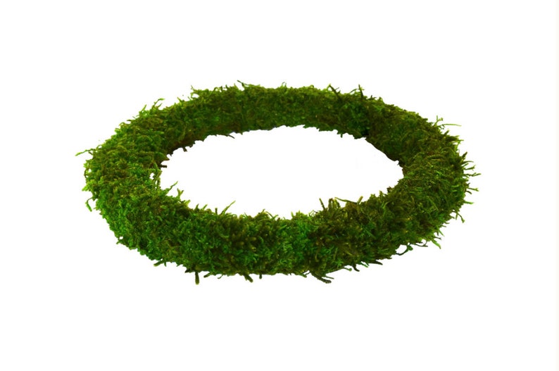 Moss Wreath Ringwreath Basewreath Formnatural Preserved Etsy