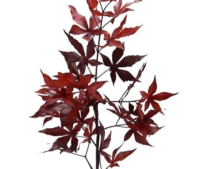 36" Japanese Maple Leaf Stems, Artificial Fall Maple Leaves Branches - Choose Color