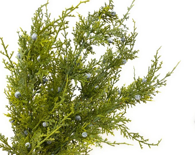 21" Oregon Juniper Bush with Berries - Christmas Stems Winter Greenery