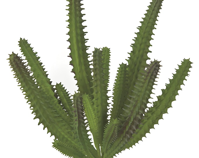 7.5" Faux Cactus, Dogtail Cactus Spray