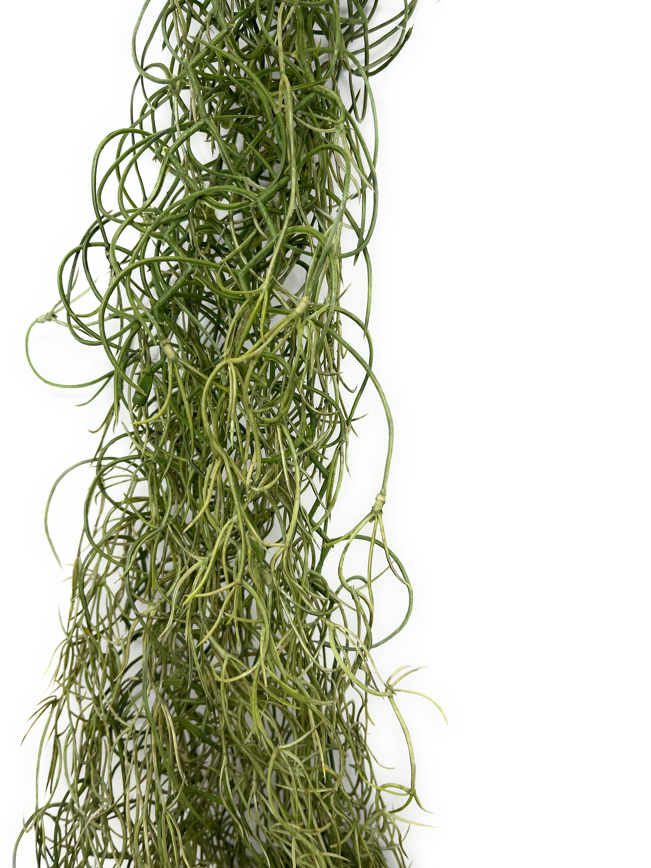 Light Green Faux Trailing Spanish Moss Artificial Fake Succulent Plant