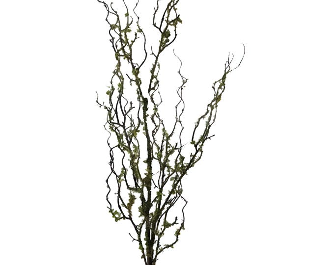 45" Faux Mossy Branch, Moss Stem, Vase Filler, Moss Decor, Long Branches, Cottage Core Decor, Natural Decor, Woodland Decor, Floral Supply