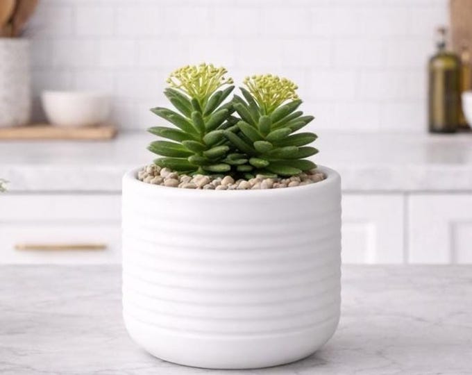 Faux Aeonium Succulent Pick, Artificial Plant - 11"