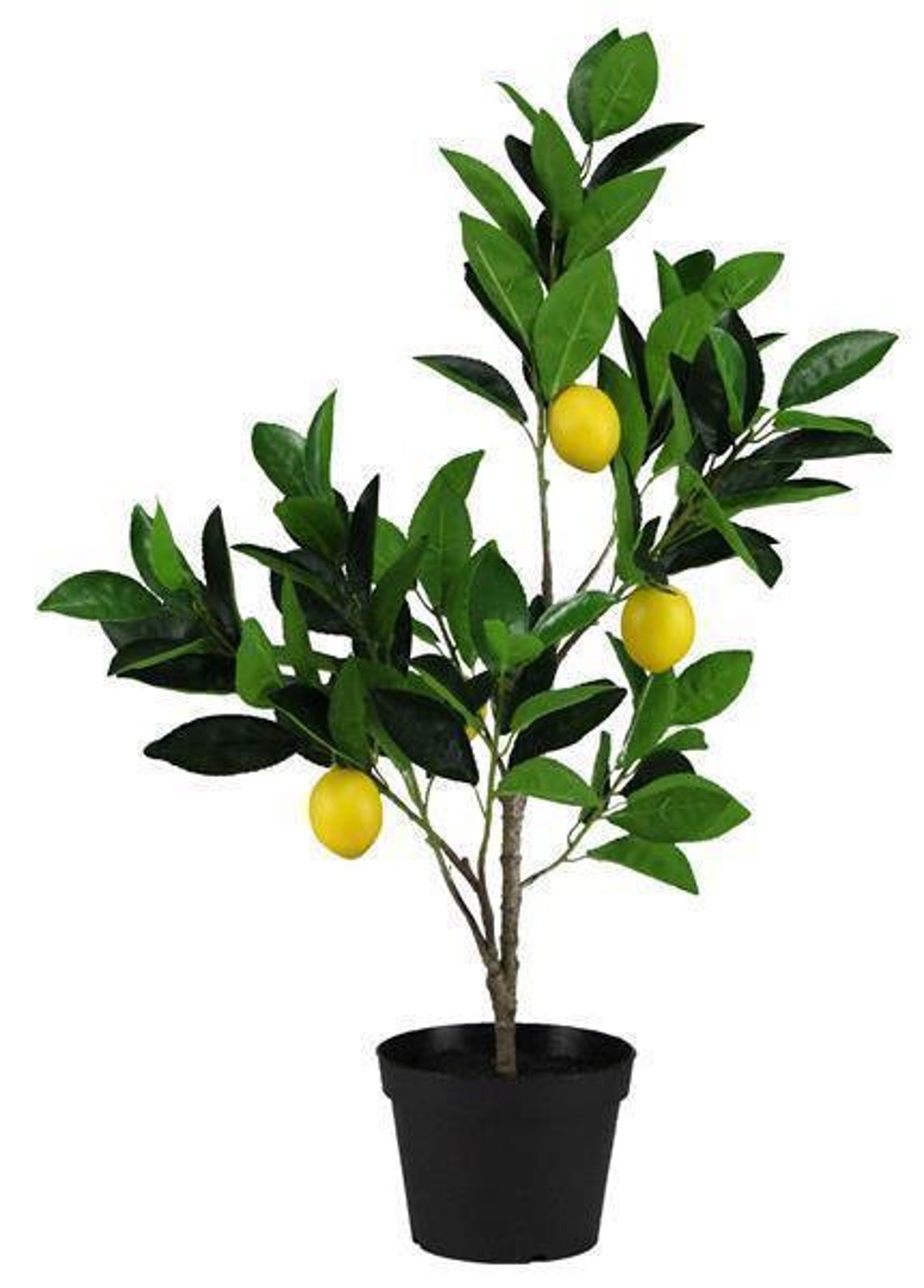 25 H Artificial Lemon Treepotted Lemon Tabletop Etsy