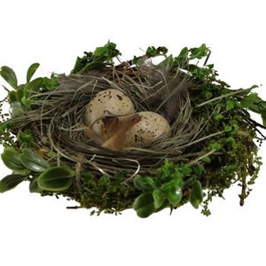 7.5" Decorative Bird Nest w/Eggs, Angel Vine & Artificial Sweet Annie Fern, DIY Spring Easter Decor, Floral Supply