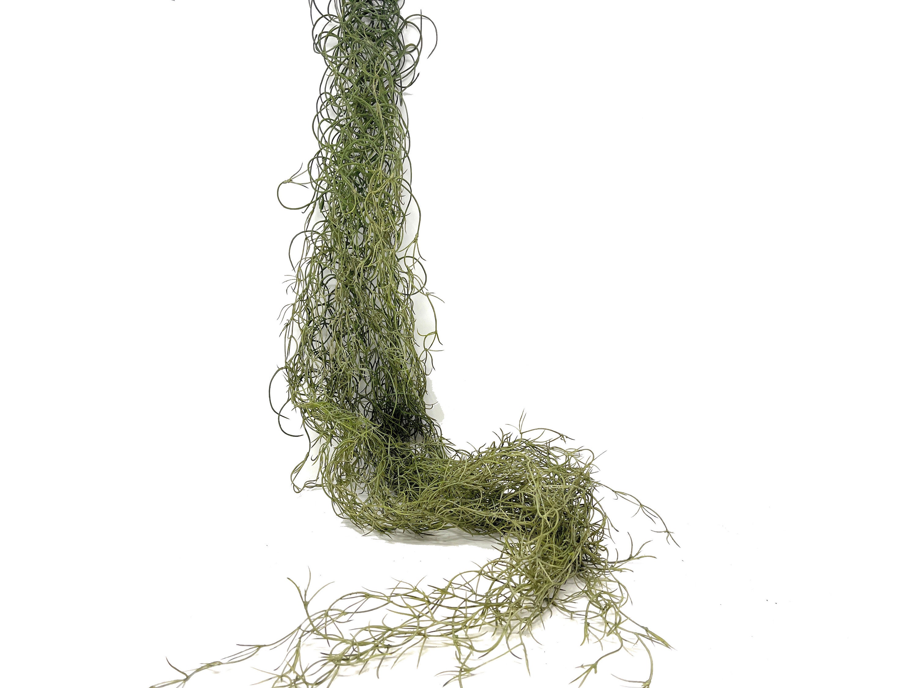 51 Large Artificial Spanish Moss Hanging Bush in Green-tillandsia