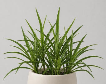 16" Faux Dracaena Plant, Artificial Corn Plant, Tropical Greenery, Dragon Tree Decor