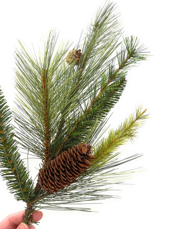 Christmas Winter Mixed Pine Spray on Stem with Pinecones - Choose 17" or 29"