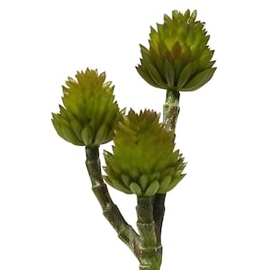 7.5&quot; Faux Succulent with 3 Flowers