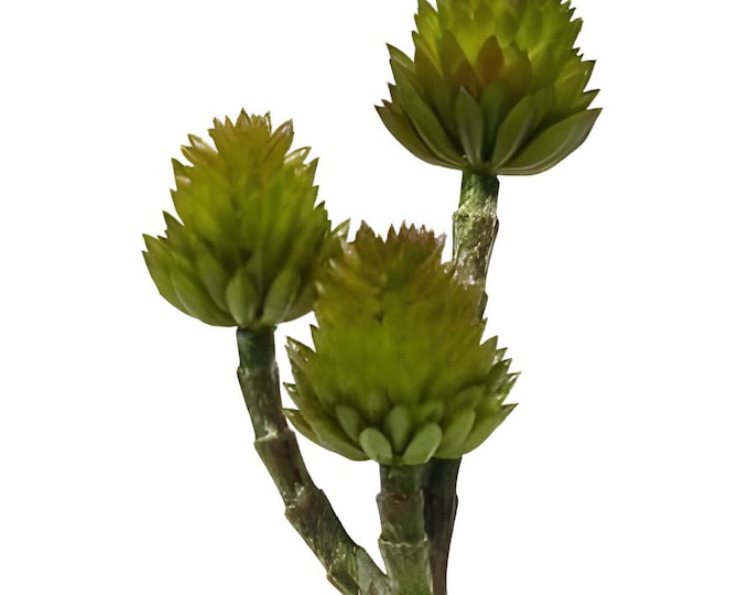7.5" Faux Succulent with 3 Flowers