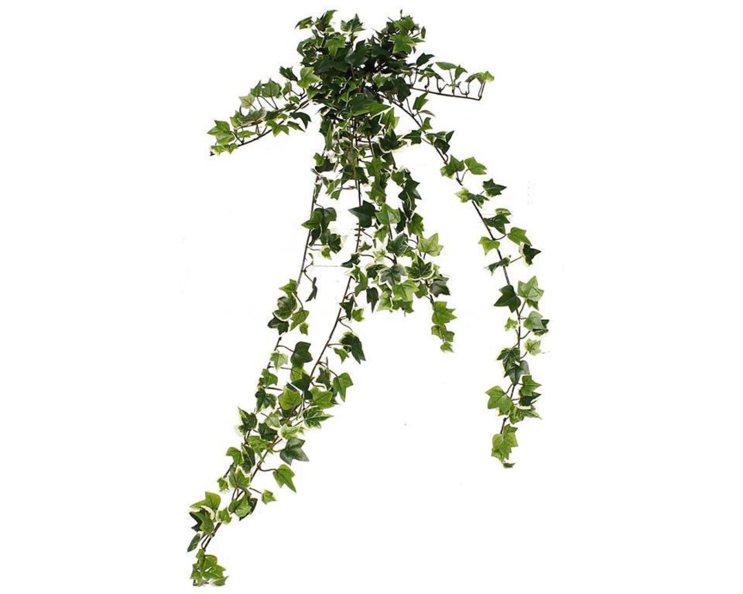 36 Artificial Needlepoint Mini Ivy Plant/hanging Bush/vine in