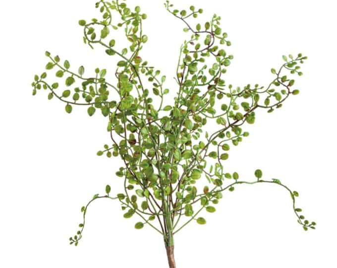16" Spring Greenery on Stem, Angel's Tears Cascading Succulent on Stem