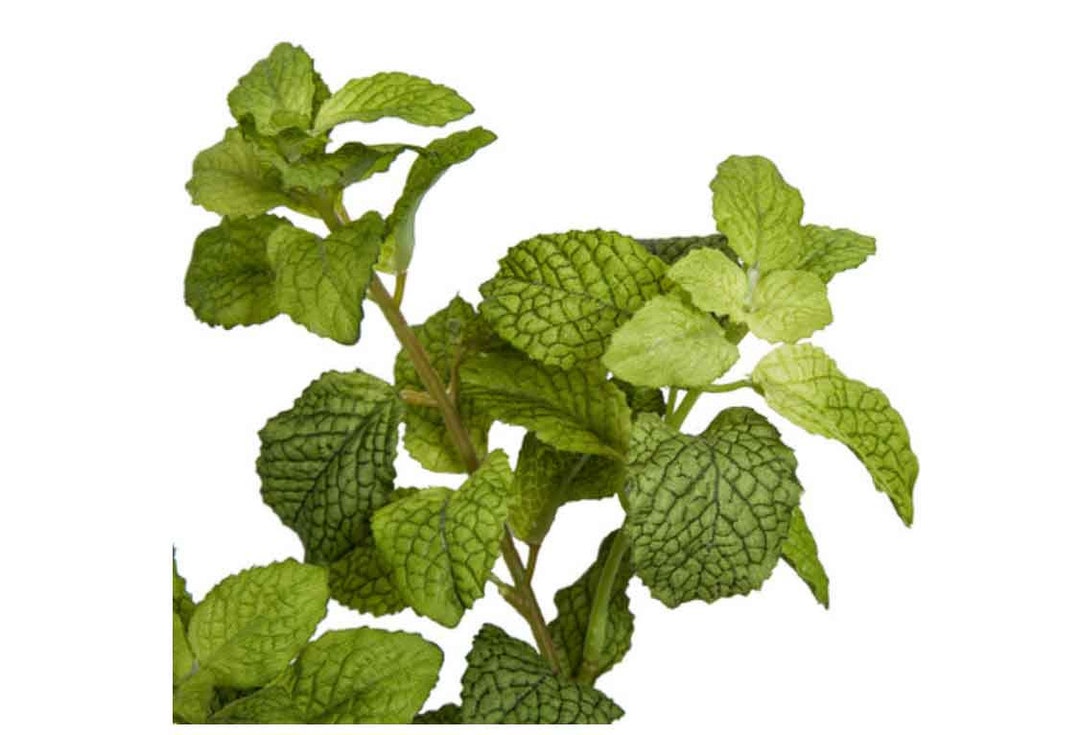 24 Artificial Mint Plantfaux Herb Plantkitchen Herbskitchen Greenery
