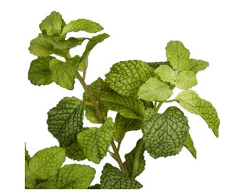 24&quot; Artificial Mint Plant-Faux Herb Plant-Kitchen Herbs-Kitchen Greenery-Artificial Plant-Kitchen Decor-Silk Flowers-Floral Supply