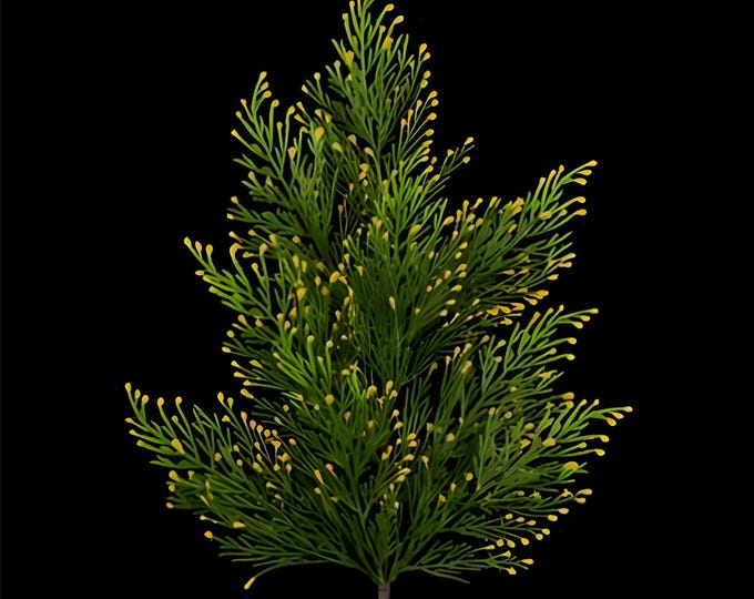 Faux Incense Cedar Stems, Christmas Greenery, Winter Greenery, Faux Cedar Branches-21"