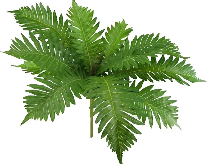 16" H Faux Boston Fern Plant with Stem, Planter Filler, Vase Filler