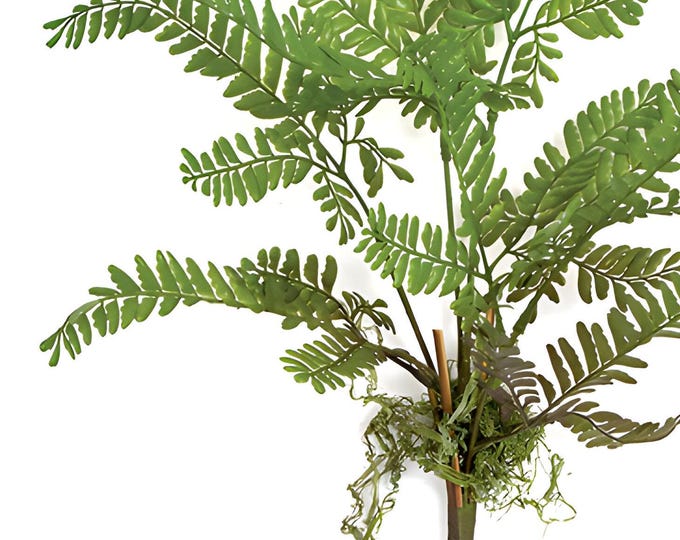 20" Natural Touch Maidenhair Fern Leaf Spray with Roots