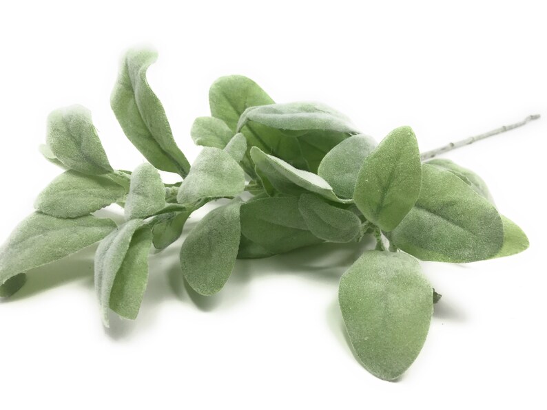 27 Lambs Ear Greenery Spray/stem/sprayartificialsage Etsy