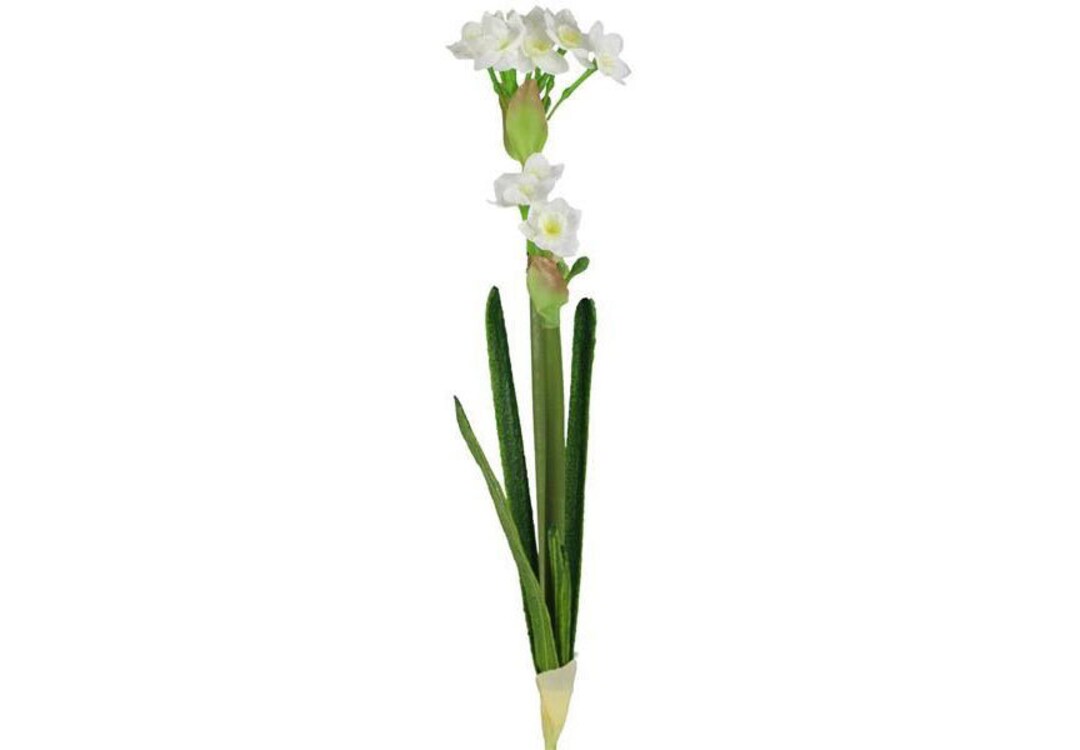 17 Faux Paperwhite Narcissus Flowers Plantchristmas Winter Flowers
