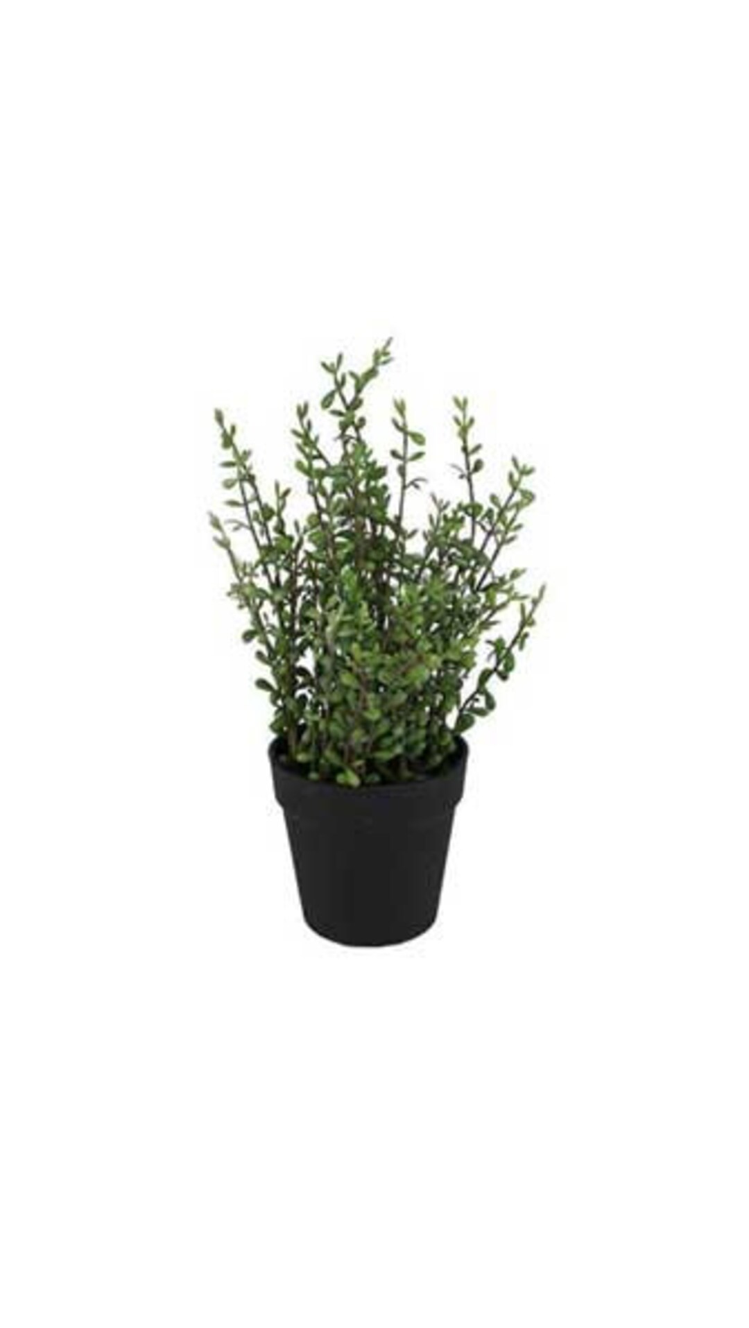 17h Artificial Potted Jade Plantartificial Succulent in Potfaux