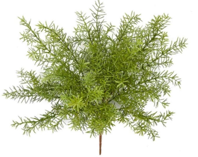 Faux Asparagus Fern Bush, Artificial Greenery - 18"