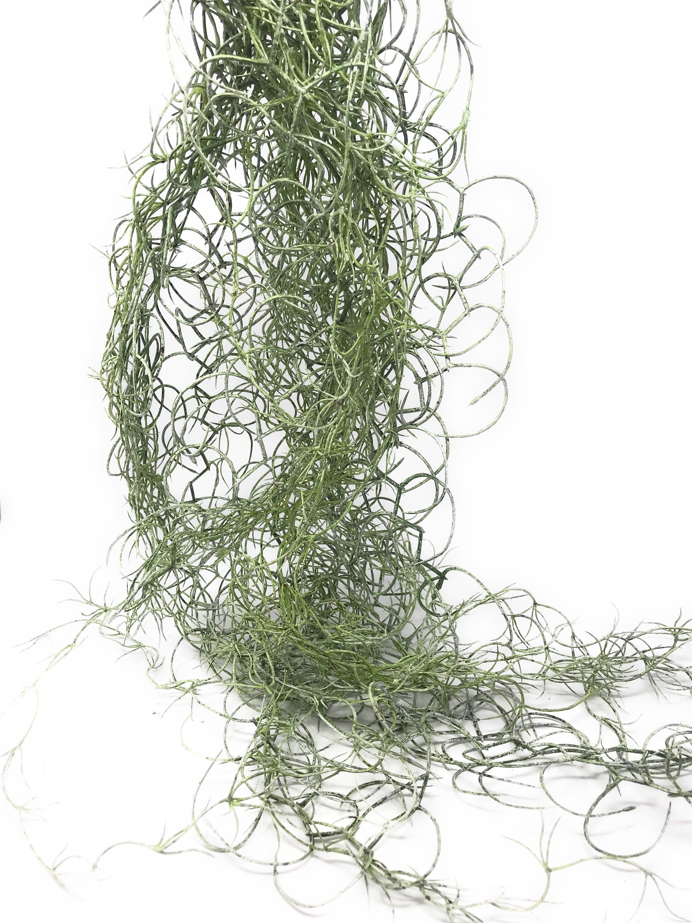 42 Large Artificial Spanish Moss Hanging Bush in Green/gray-tillandsia-faux  Air Plant-everyday Greenery-artificial Foliage-floral Supply 
