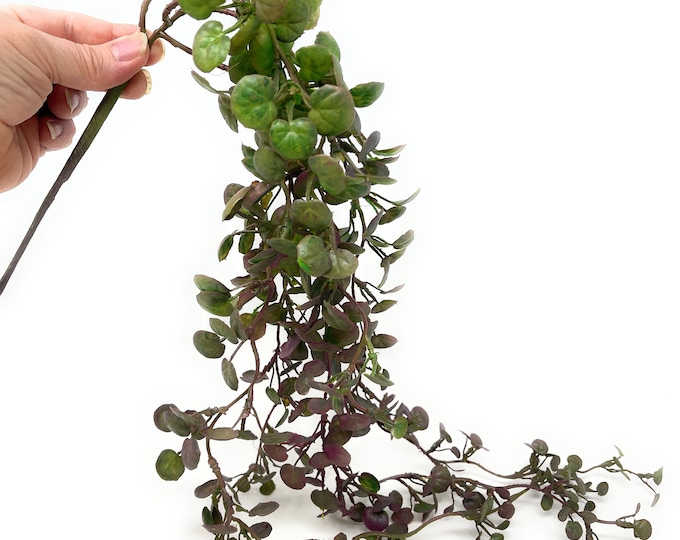 30" Faux Trailing Succulent, Trailing Plant, Artificial Dischidia Hanging Succulent Vine, Artificial Plant