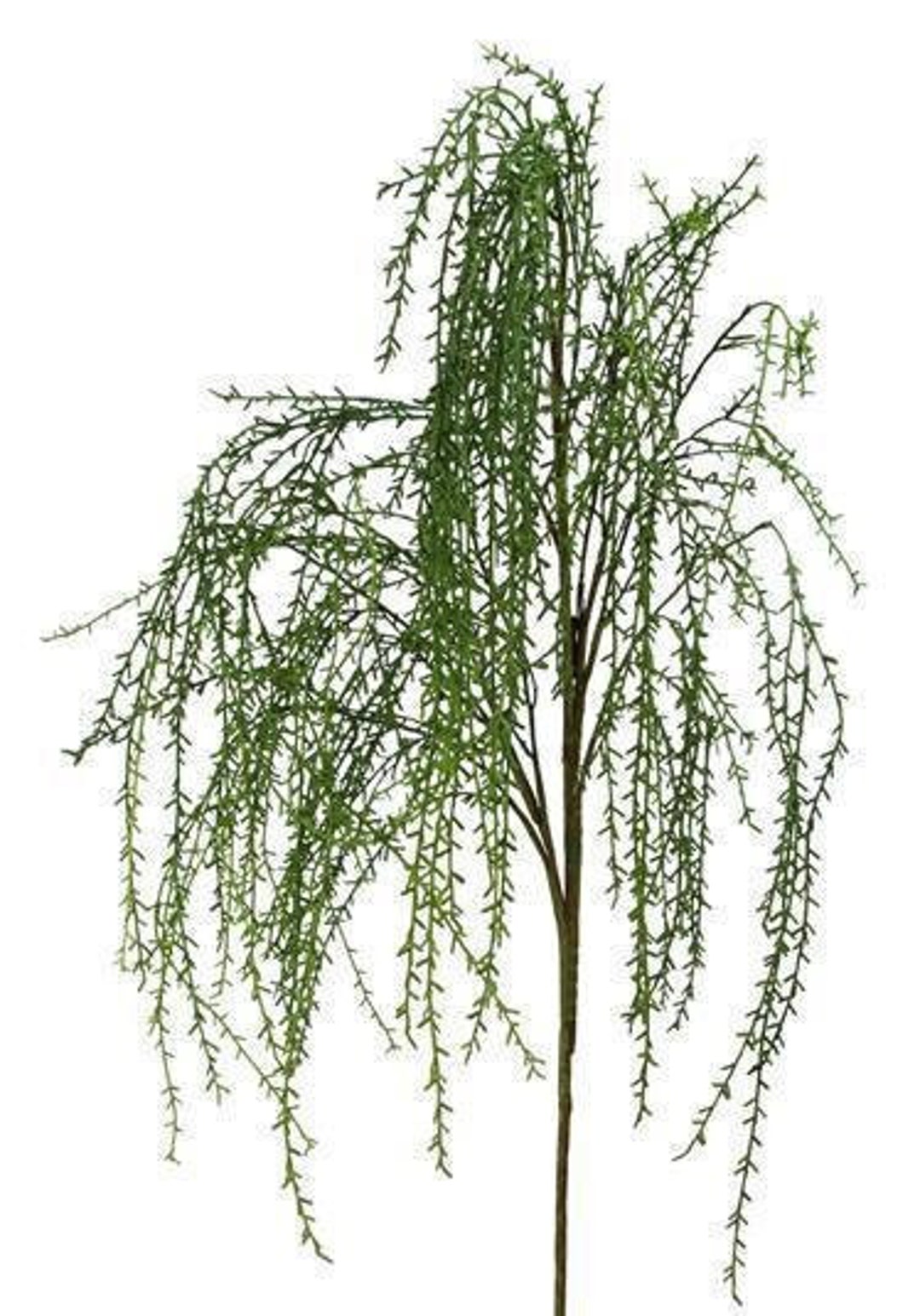 63 Large Faux Weeping Willow Branch Spray, Artificial Greenery Stems, Vase Filler, Home Decor