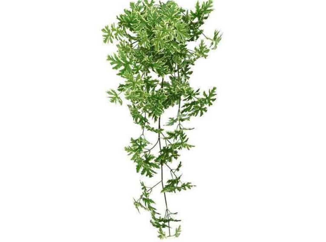 35 Artificial Hanging Plantfaux Citronella Planthanging Greenery