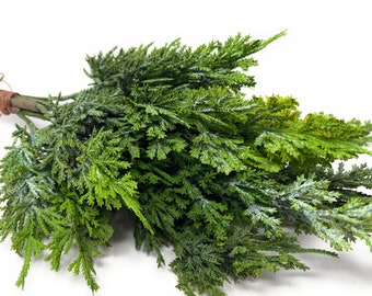 19" Artificial Cedar Bunch/Bundle/Spray/Stems/Branches-Christmas/Winter Greenery-Holiday Home Decor-Artificial Evergreen-Floral Supply