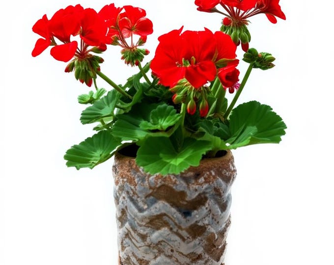 Small Rustic Terra Cotta Clay Flower Pot Flowers Optional, July 4th Decor, Summer Floral Arrangement Summer Table Centerpiece