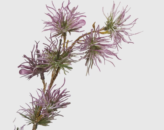 39" Faux Creeping Thistle Spray on Stem in Purple, Artificial Flower, Vase Filler, Floral Supply