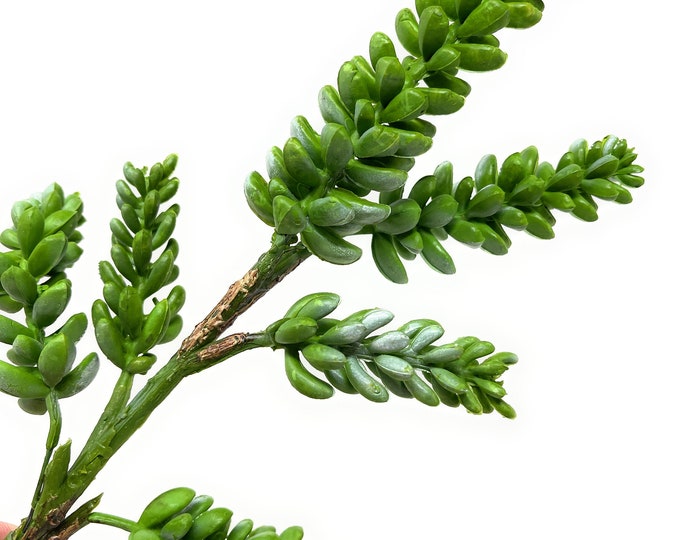 13" LARGE Artificial Sedum Succulent Flower Pick in Green-Faux Succulent-Fake Succulent-Succulent Pick-Floral Supply