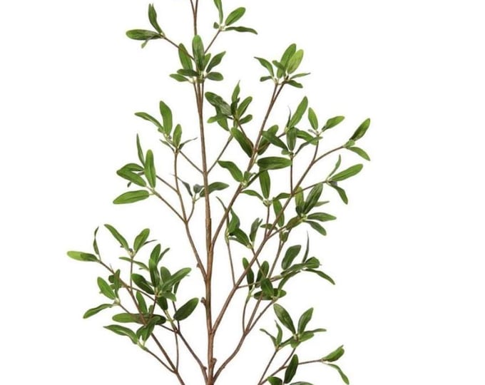 33" Coprosma Kirkii Greenery Branch Stem - Faux Creeping Mirror Plant