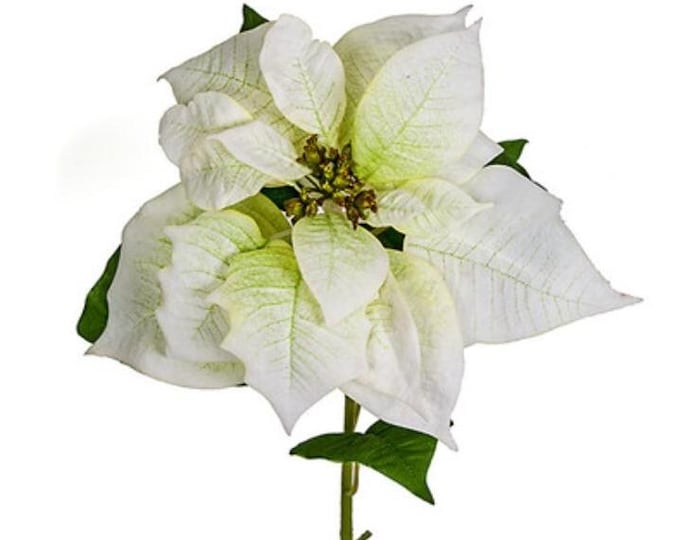 28" White Velvet Christmas Poinsettia Flower Stems