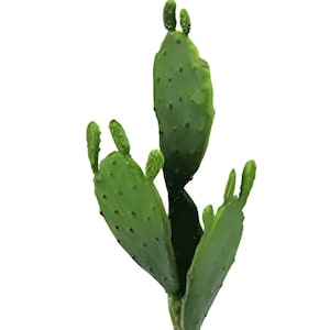 11&quot; Artificial Cactus Stem/Pick/Plant-Fake/Faux Cactus-Pad Cactus w/Buds-Cactus Decor-Faux/Faux Succulent-Succulent Pick-Floral Supply