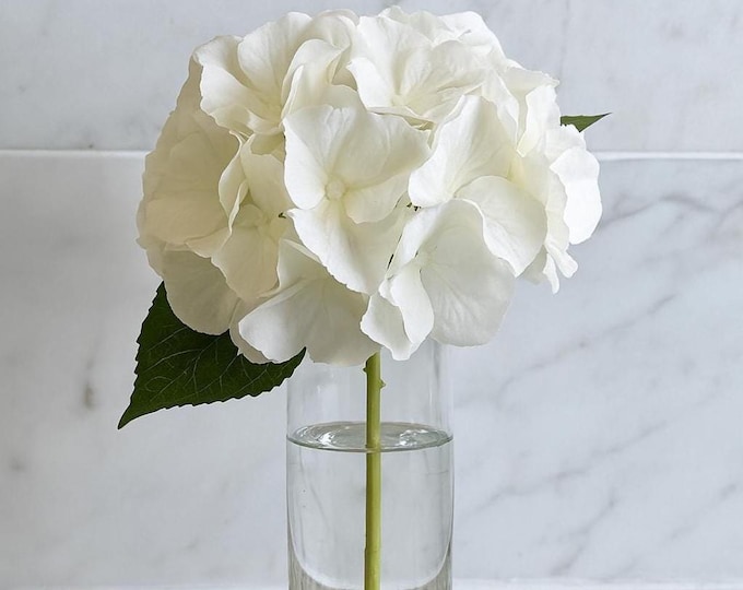 14" Ivory Hydrangea Flower on Stem - Real Touch Artificial Flowers