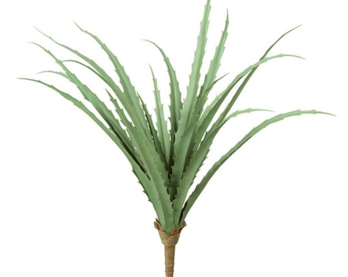 25" Outdoor UV Protected Sharp Leaf Agave Plant Commercial Grade