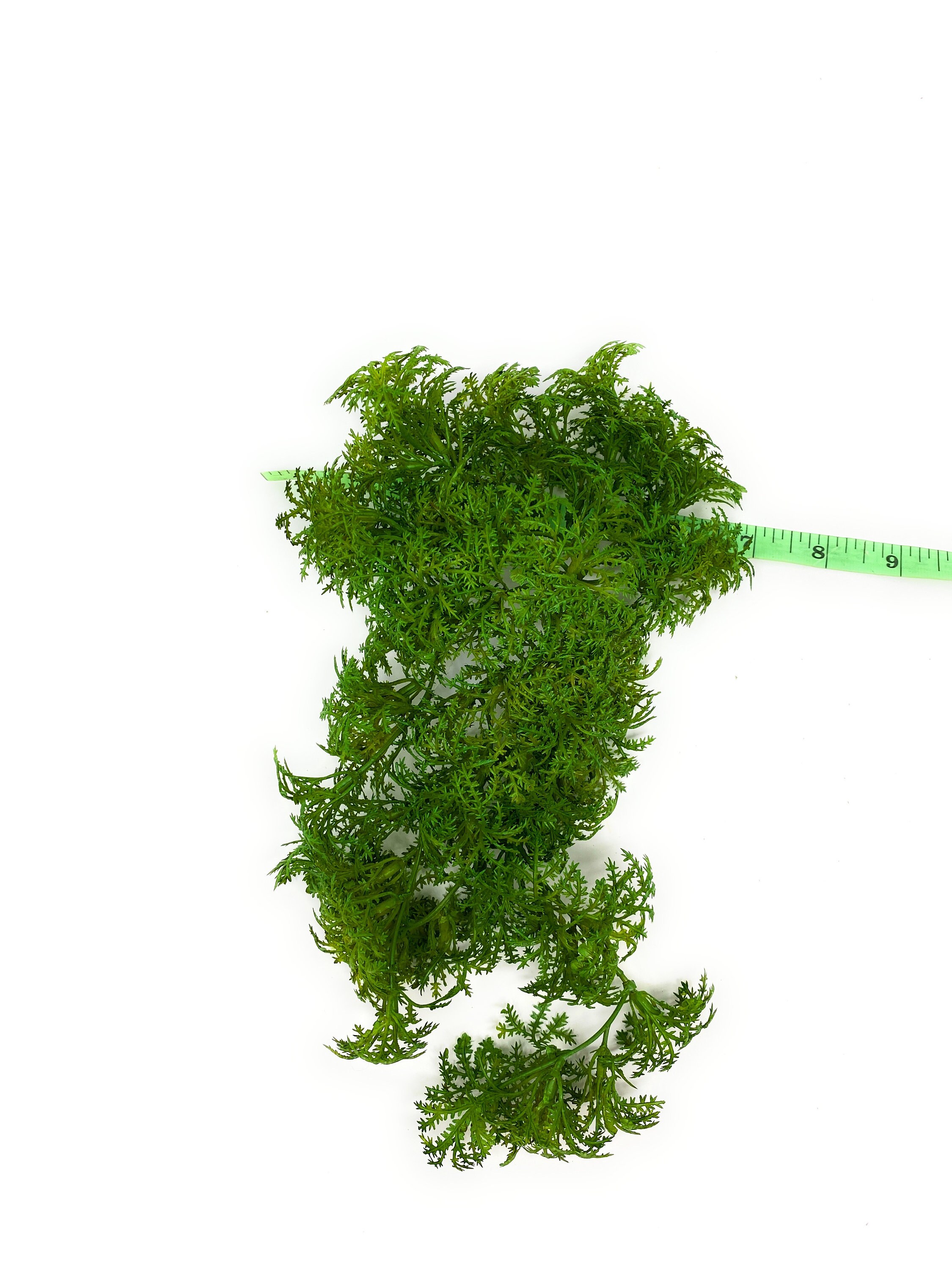 Artificial Fake Moss Aftificial Green Moss Artificial Moss Lichen for  Plant, Garden Lawn Crafts Wedding Decor (20g/ Small Pack)