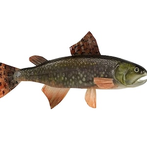 15.75&quot; Artificial Trout Fish-Fake Fish-Fish Theme/Lake Theme Wreath Decor-Party Decor-Party Supplies-Floral Supplies-Floral Arranging