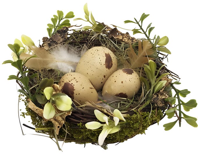 5.5" Decorative Natural Angel Vine Bird Nest w/Eggs Artificial Sweet Annie Fern, DIY Spring Easter Decor Floral Supply